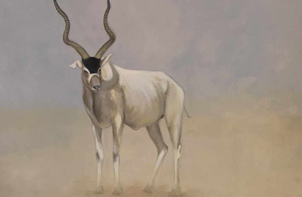 Acrílico en lienzo 120x100cm
No disponible